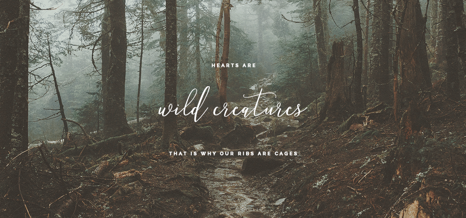 HEARTS are wild creatures
